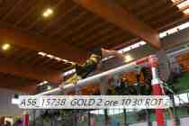 A56_15738-GOLD-2-ore-10.30-ROT-2