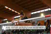 A56_15740-GOLD-2-ore-10.30-ROT-2