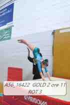 A56_16422-GOLD-2-ore-11-ROT-3