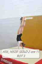 A56_16520-GOLD-2-ore-11-ROT-3