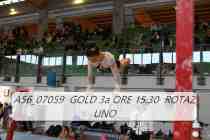 A56_07059-GOLD-3a-ORE-15.30-ROTAZ-UNO