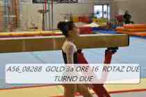 A56_08288-GOLD-3a-ORE-16-ROTAZ-DUE-TURNO-DUE