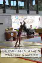 A56_08467-GOLD-3a-ORE-16-ROTAZ-DUE-TURNO-DUE