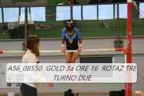 A56_08550-GOLD-3a-ORE-16-ROTAZ-TRE-TURNO-DUE