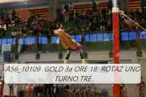 A56_10109-GOLD-3a-ORE-18-ROTAZ-UNO-TURNO-TRE