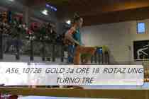 A56_10726-GOLD-3a-ORE-18-ROTAZ-UNO-TURNO-TRE