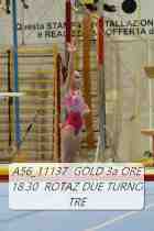 A56_11137-GOLD-3a-ORE-18.30-ROTAZ-DUE-TURNO-TRE