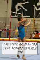 A56_11308-GOLD-3a-ORE-18.30-ROTAZ-DUE-TURNO-TRE