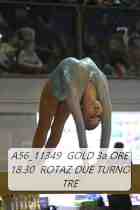 A56_11349-GOLD-3a-ORE-18.30-ROTAZ-DUE-TURNO-TRE