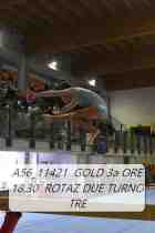 A56_11421-GOLD-3a-ORE-18.30-ROTAZ-DUE-TURNO-TRE