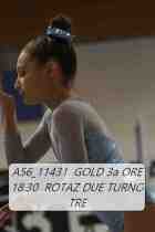 A56_11431-GOLD-3a-ORE-18.30-ROTAZ-DUE-TURNO-TRE