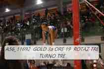 A56_11692-GOLD-3a-ORE-19-ROTAZ-TRE-TURNO-TRE