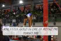 A56_11723-GOLD-3a-ORE-19-ROTAZ-TRE-TURNO-TRE