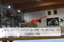 A56_12177-GOLD-3a-ORE-19-ROTAZ-TRE-TURNO-TRE