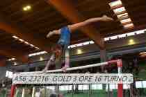 A56_23216-GOLD-3-ORE-16-TURNO-2