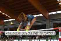 A56_23255-GOLD-3-ORE-16-TURNO-2