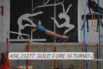 A56_23277-GOLD-3-ORE-16-TURNO-2