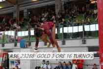 A56_23288-GOLD-3-ORE-16-TURNO-2