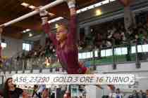 A56_23290-GOLD-3-ORE-16-TURNO-2