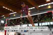 A56_23291-GOLD-3-ORE-16-TURNO-2