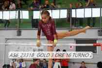 A56_23318-GOLD-3-ORE-16-TURNO-2