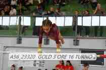 A56_23320-GOLD-3-ORE-16-TURNO-2