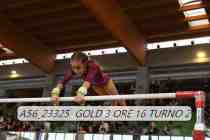 A56_23325-GOLD-3-ORE-16-TURNO-2