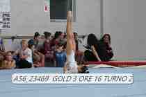 A56_23469-GOLD-3-ORE-16-TURNO-2