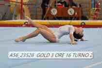 A56_23526-GOLD-3-ORE-16-TURNO-2