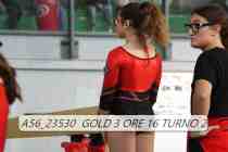 A56_23530-GOLD-3-ORE-16-TURNO-2