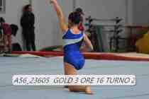 A56_23605-GOLD-3-ORE-16-TURNO-2