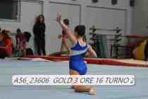 A56_23606-GOLD-3-ORE-16-TURNO-2