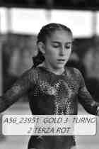 A56_23951-GOLD-3-TURNO-2-TERZA-ROT-