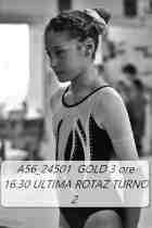 A56_24501-GOLD-3-ore-16.30-ULTIMA-ROTAZ-TURNO-2-