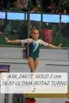 A56_24677-GOLD-3-ore-16.30-ULTIMA-ROTAZ-TURNO-2-