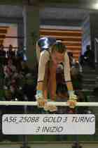 A56_25088-GOLD-3-TURNO-3-INIZIO