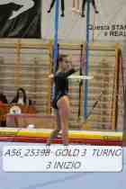 A56_25398-GOLD-3-TURNO-3-INIZIO