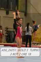 A56_26051-GOLD-3-TURNO-3-ROT-2-ORE-18