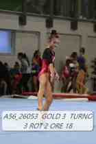 A56_26053-GOLD-3-TURNO-3-ROT-2-ORE-18