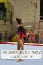 A56_26057-GOLD-3-TURNO-3-ROT-2-ORE-18