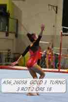 A56_26058-GOLD-3-TURNO-3-ROT-2-ORE-18