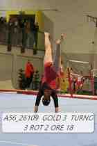 A56_26109-GOLD-3-TURNO-3-ROT-2-ORE-18