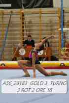 A56_26183-GOLD-3-TURNO-3-ROT-2-ORE-18