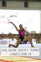 A56_26206-GOLD-3-TURNO-3-ROT-2-ORE-18