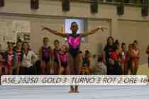 A56_26250-GOLD-3-TURNO-3-ROT-2-ORE-18