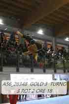 A56_26348-GOLD-3-TURNO-3-ROT-2-ORE-18