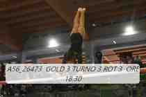 A56_26473-GOLD-3-TURNO-3-ROT-3-ORE-18.30