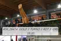 A56_26474-GOLD-3-TURNO-3-ROT-3-ORE-18.30