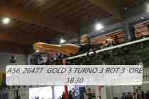 A56_26477-GOLD-3-TURNO-3-ROT-3-ORE-18.30