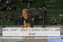 A56_26487-GOLD-3-TURNO-3-ROT-3-ORE-18.30